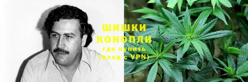 Бошки Шишки Ganja  купить   Болгар 